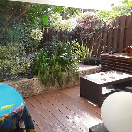 Lovely With Terrace *